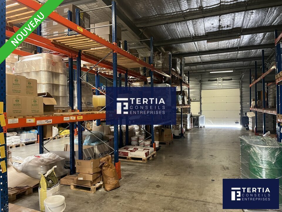 TERTIA CONSEILS LOCATION-LOCAL D'ACTIVITE-FRONTIGNAN-34