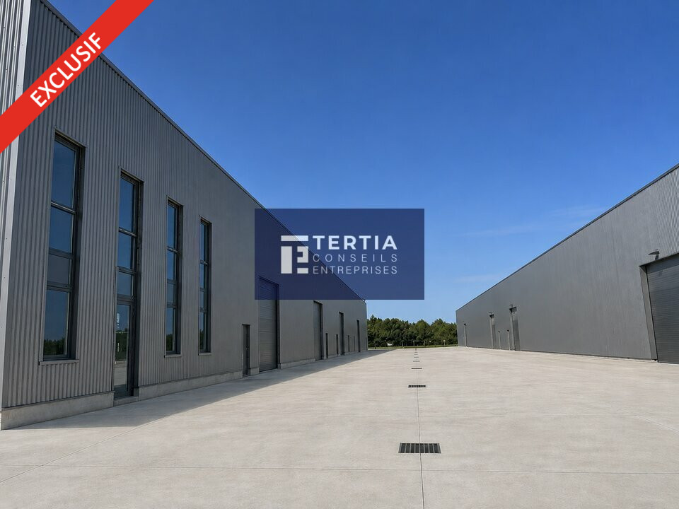 TERTIA CONSEILS LOCATION-LOCAL D'ACTIVITE-MONTPELLIER-34