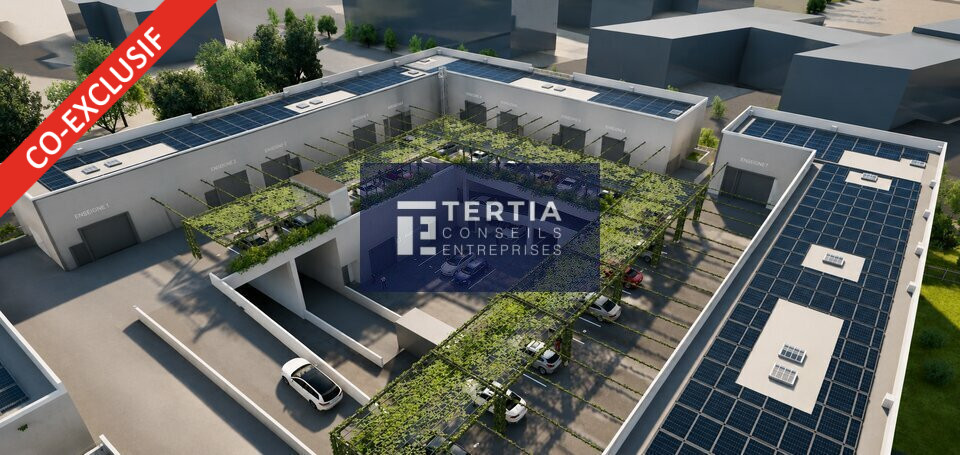 TERTIA CONSEILS LOCATION-LOCAL D'ACTIVITE-MONTPELLIER-34
