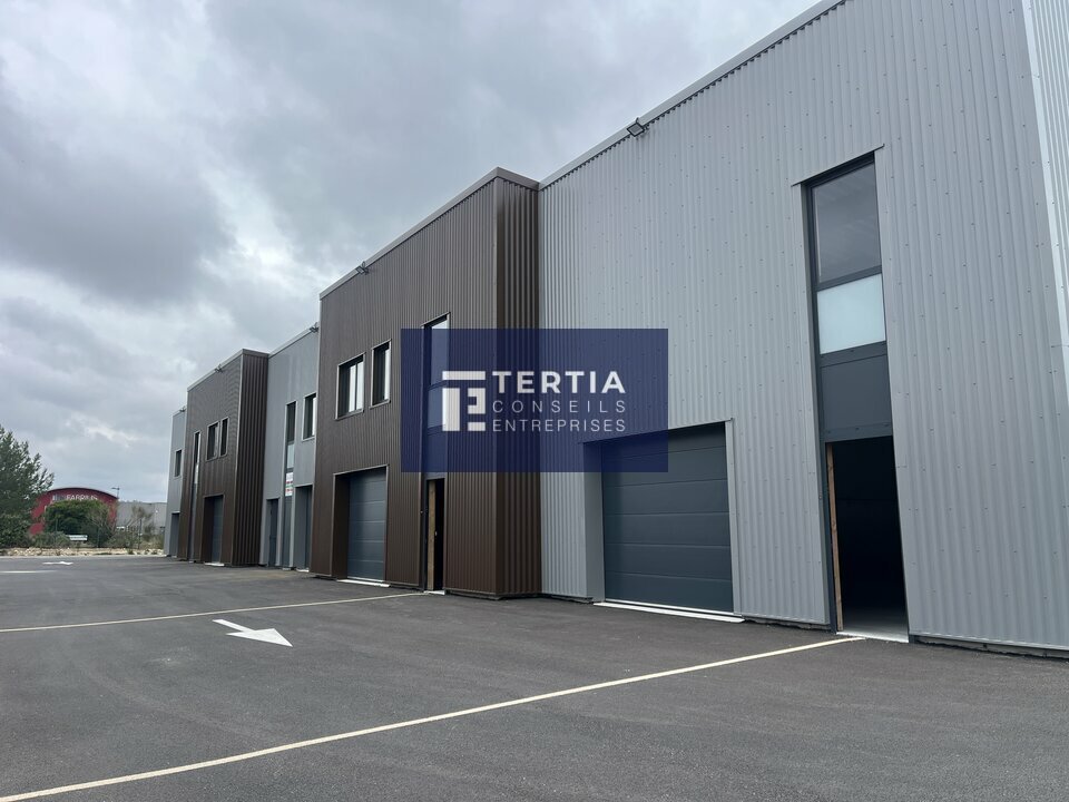 TERTIA CONSEILS LOCATION-LOCAL D'ACTIVITE-VAILHAUQUES-34