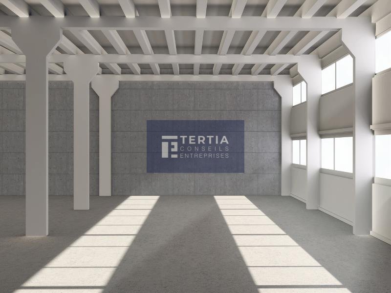 TERTIA CONSEILS LOCATION-BUREAUX-COURNONSEC-34