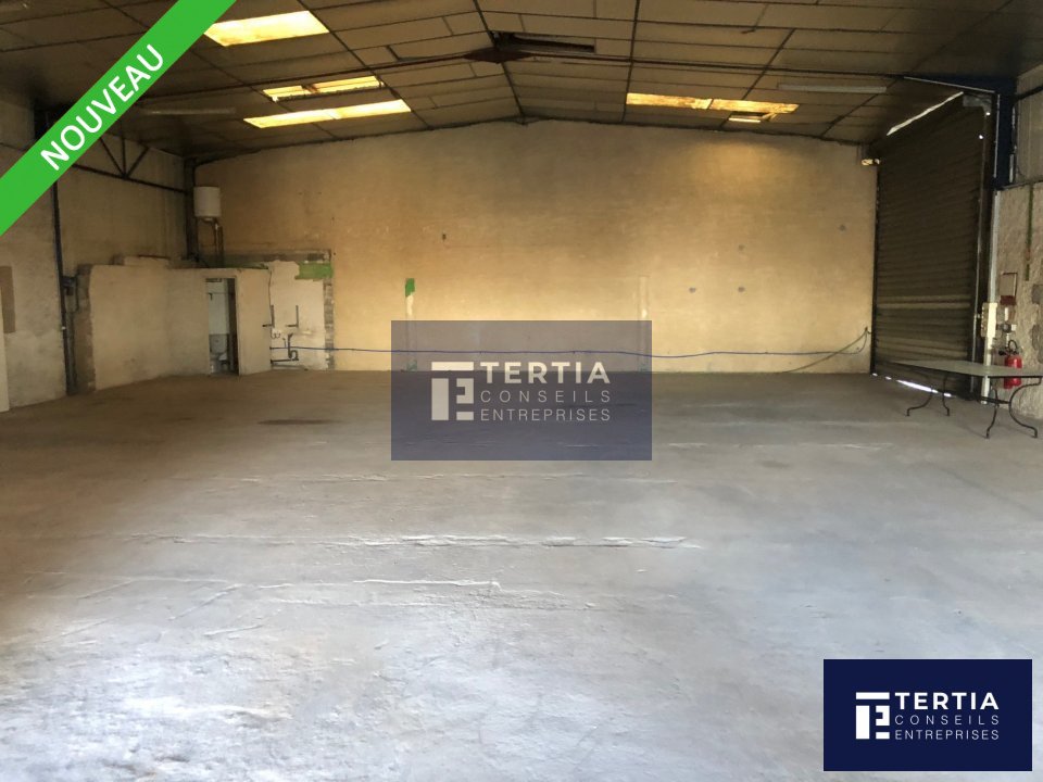 TERTIA CONSEILS LOCATION-LOCAL D'ACTIVITE-SAINT_JEAN_DE_VEDAS-34