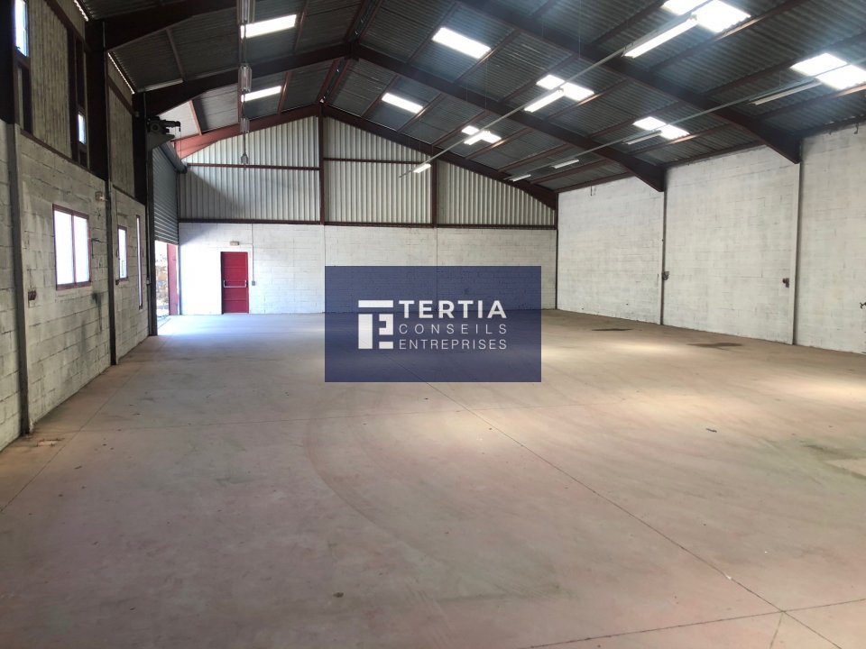 TERTIA CONSEILS LOCATION-LOCAL D'ACTIVITE-MONTPELLIER-34