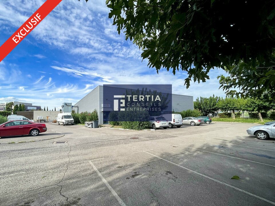 TERTIA CONSEILS LOCATION-LOCAL D'ACTIVITE-MONTPELLIER-34