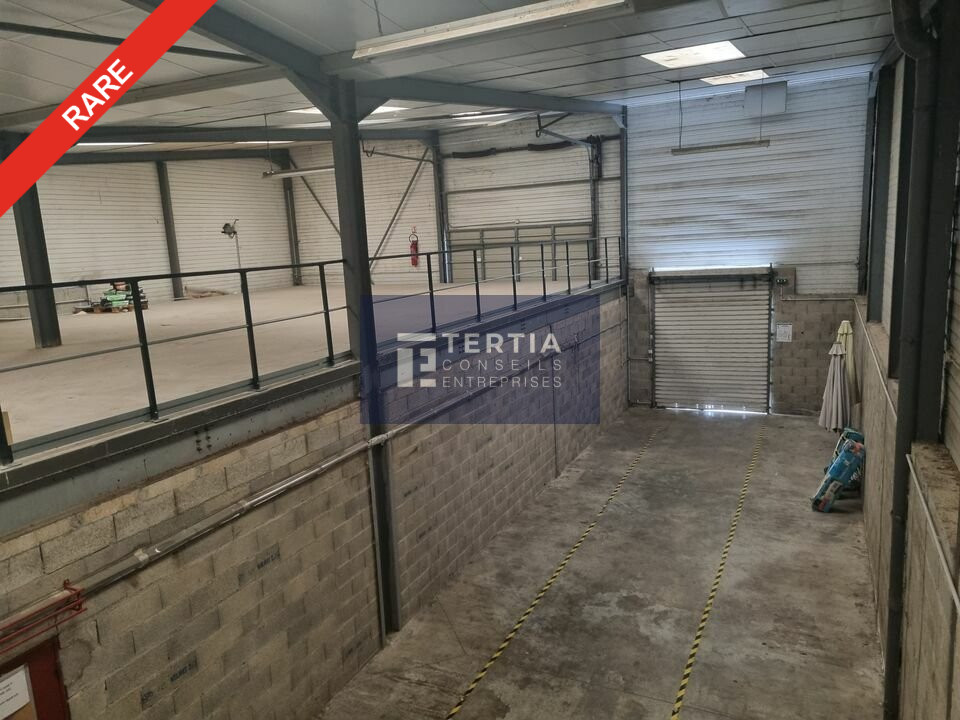TERTIA CONSEILS LOCATION-LOCAL D'ACTIVITE-MONTFERRIER_SUR_LEZ-34