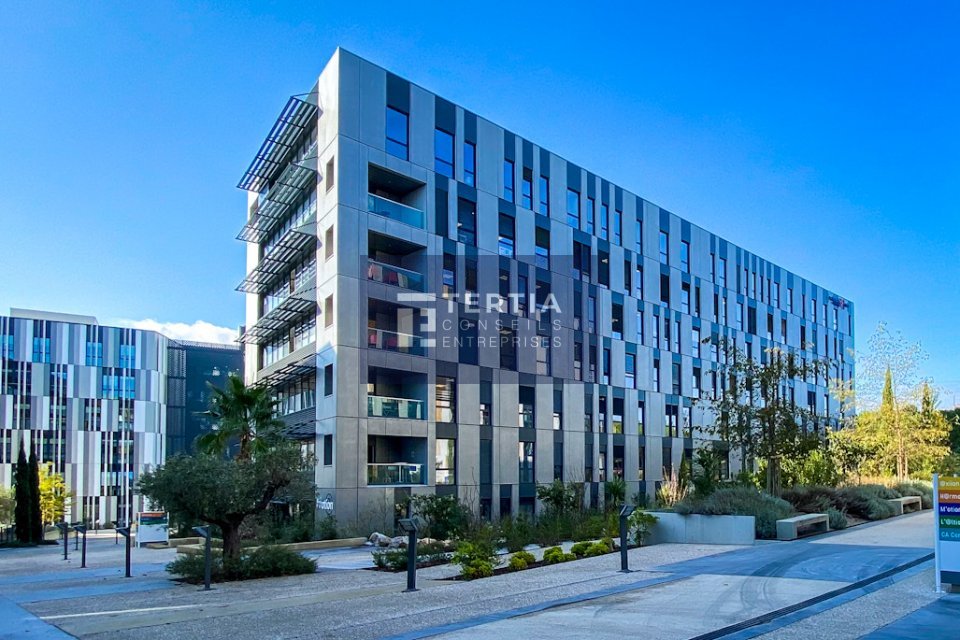 TERTIA CONSEILS LOCATION-BUREAUX-MONTPELLIER-34