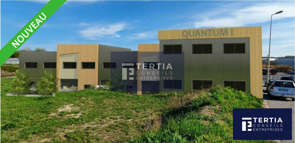 TERTIA CONSEILS VENTE-BUREAUX-GIGEAN-34