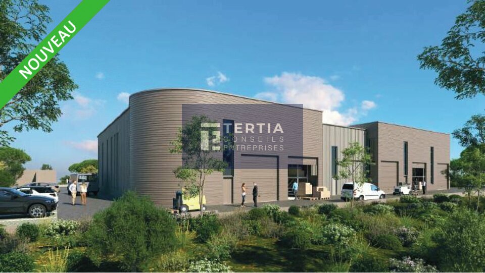 TERTIA CONSEILS LOCATION-LOCAL D'ACTIVITE-SAINT_GEORGES_D'ORQUES-34