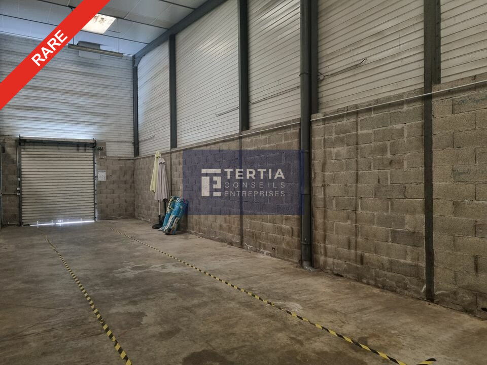 TERTIA CONSEILS VENTE-LOCAL D'ACTIVITE-MONTFERRIER_SUR_LEZ-34
