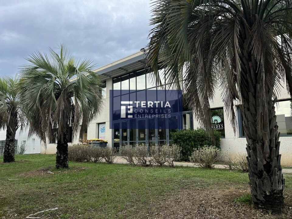 TERTIA CONSEILS LOCATION-LOCAL D'ACTIVITE-MONTPELLIER-34