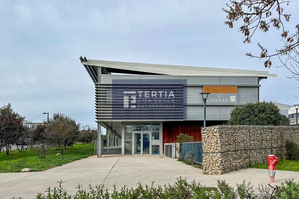 TERTIA CONSEILS LOCATION-BUREAUX-CASTRIES-34