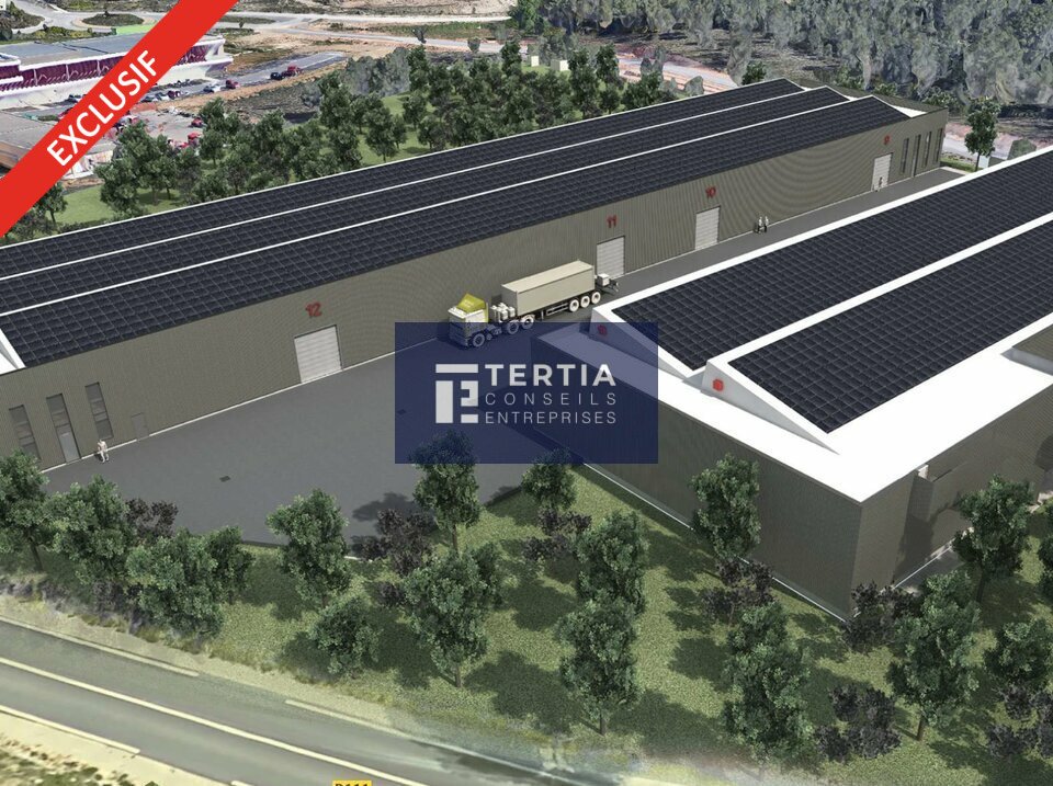 TERTIA CONSEILS LOCATION-LOCAL D'ACTIVITE-VAILHAUQUES-34