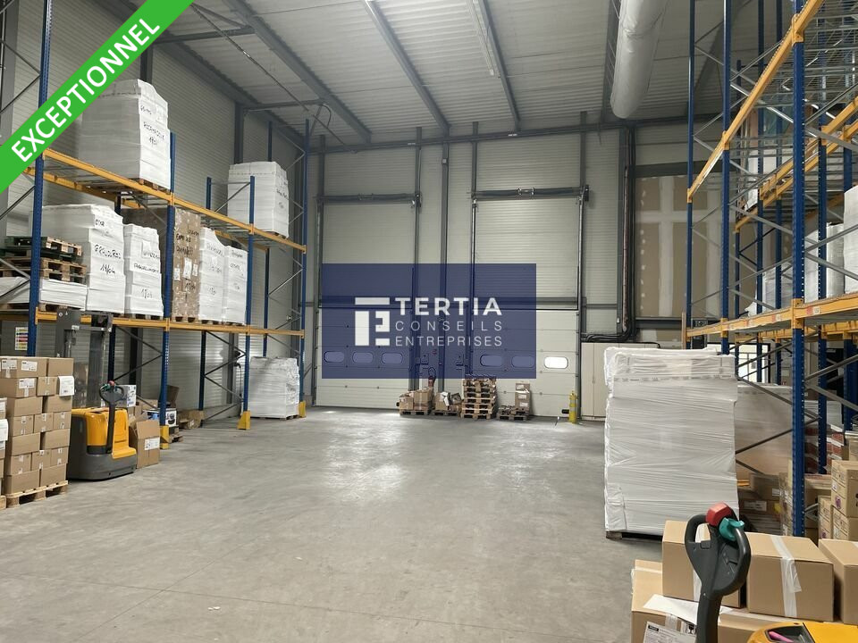 TERTIA CONSEILS LOCATION-LOCAL D'ACTIVITE-FRONTIGNAN-34