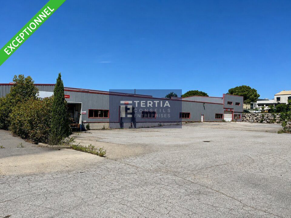 TERTIA CONSEILS LOCATION-LOCAL D'ACTIVITE-JACOU-34