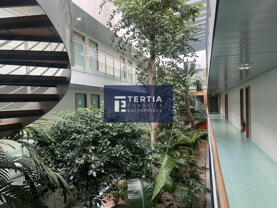 TERTIA CONSEILS LOCATION-BUREAUX-MONTPELLIER-34