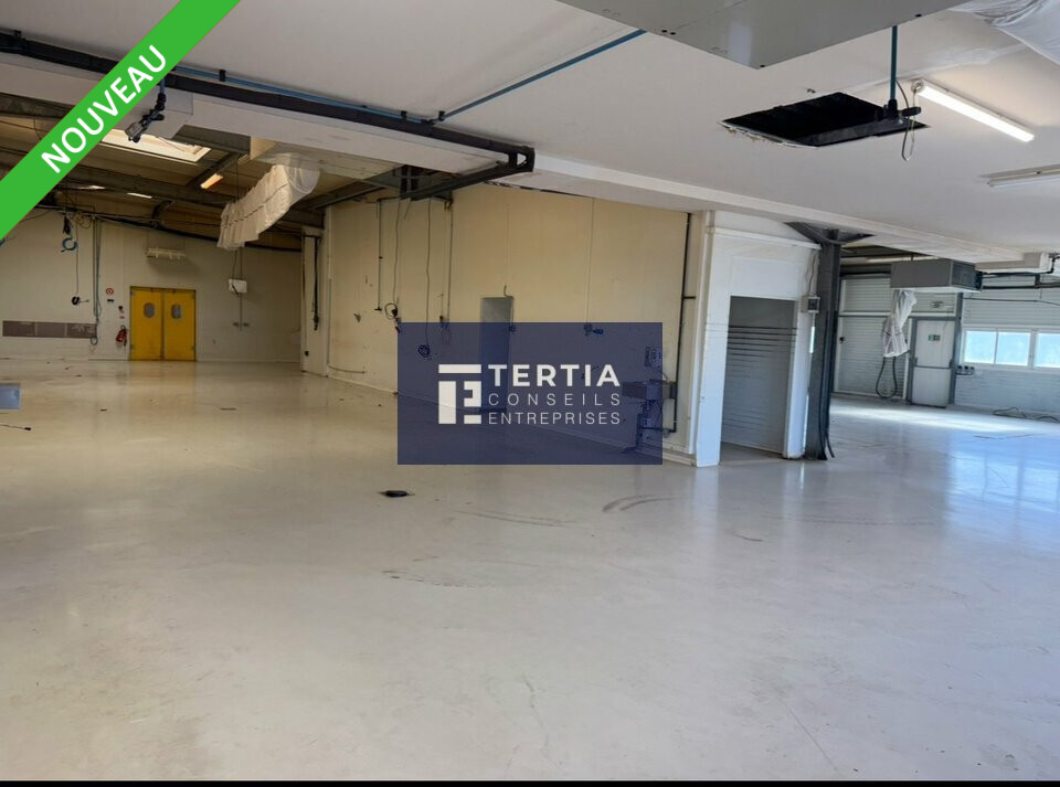 TERTIA CONSEILS VENTE-LOCAL D'ACTIVITE-FRONTIGNAN-34