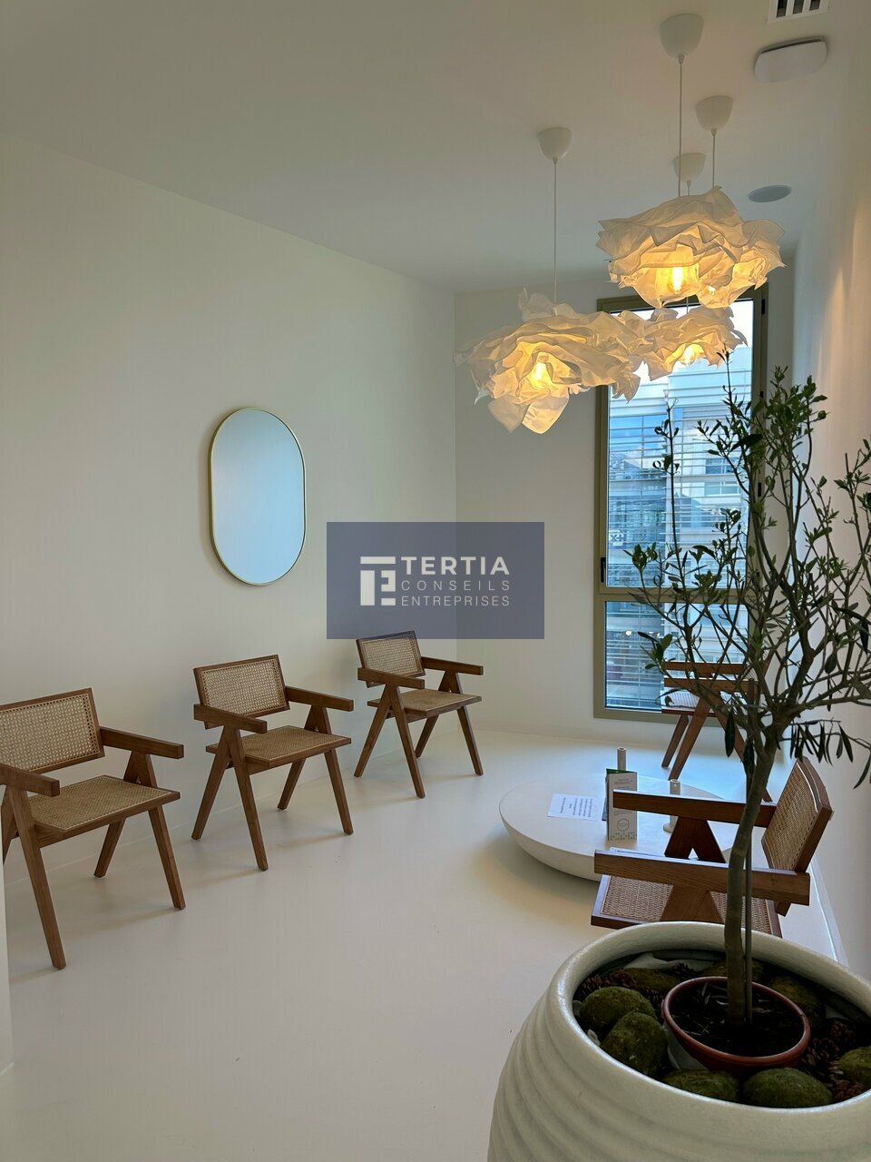 TERTIA CONSEILS LOCATION-BUREAUX-MONTPELLIER-34