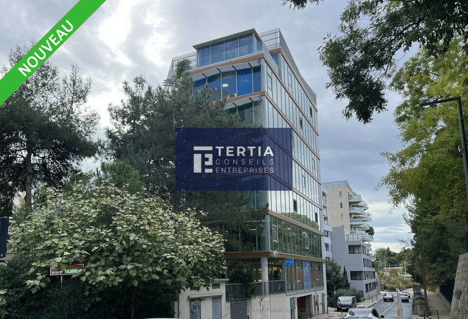 TERTIA CONSEILS LOCATION-BUREAUX-CASTELNAU_LE_LEZ-34