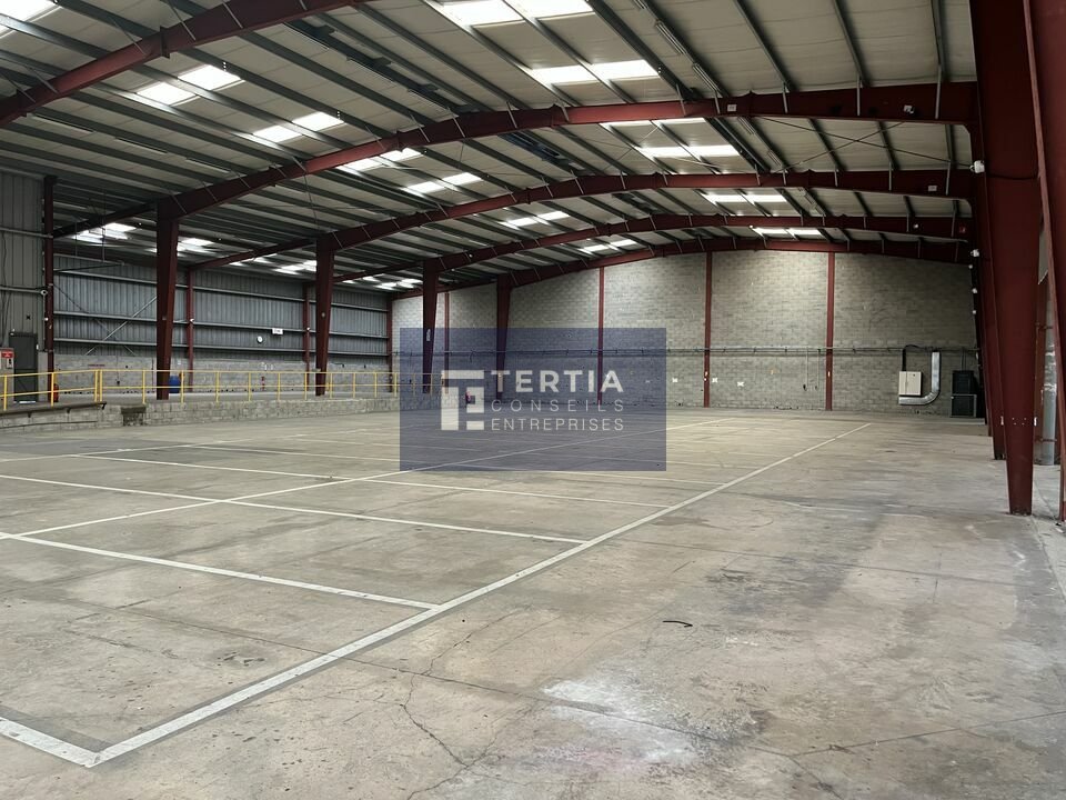 TERTIA CONSEILS LOCATION-LOCAL D'ACTIVITE-BAILLARGUES-34