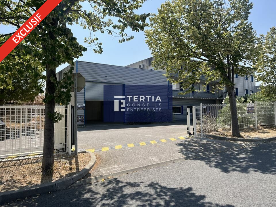TERTIA CONSEILS LOCATION-LOCAL D'ACTIVITE-MONTPELLIER-34
