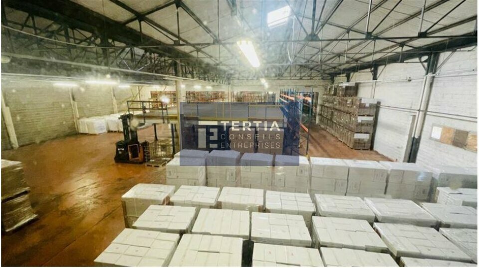 TERTIA CONSEILS LOCATION-LOCAL D'ACTIVITE-PERPIGNAN-66