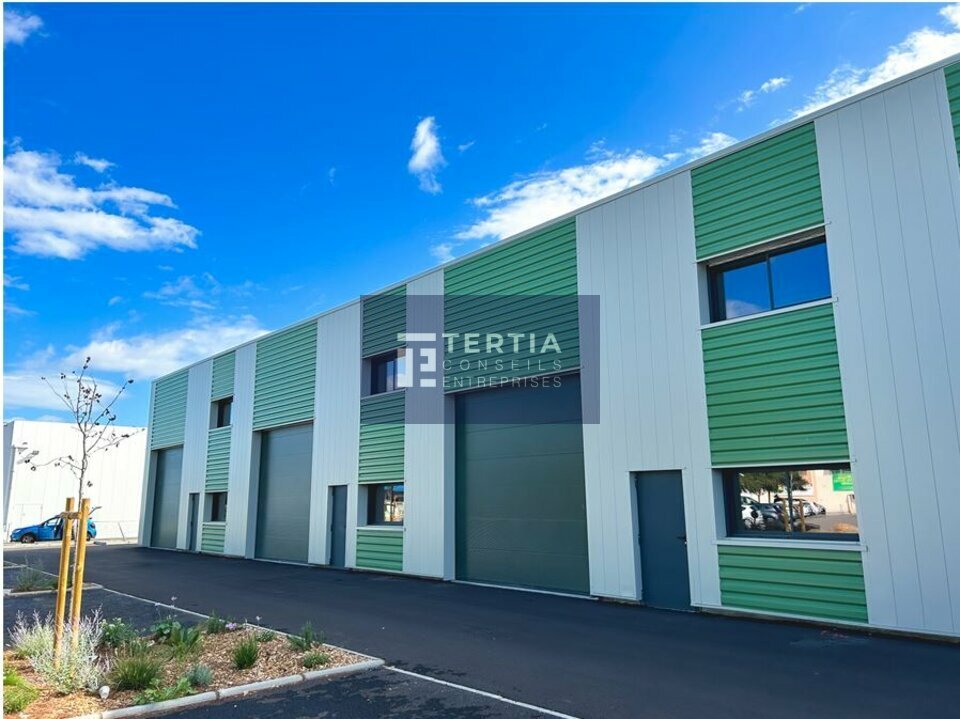TERTIA CONSEILS LOCATION-LOCAL D'ACTIVITE-PERPIGNAN-66