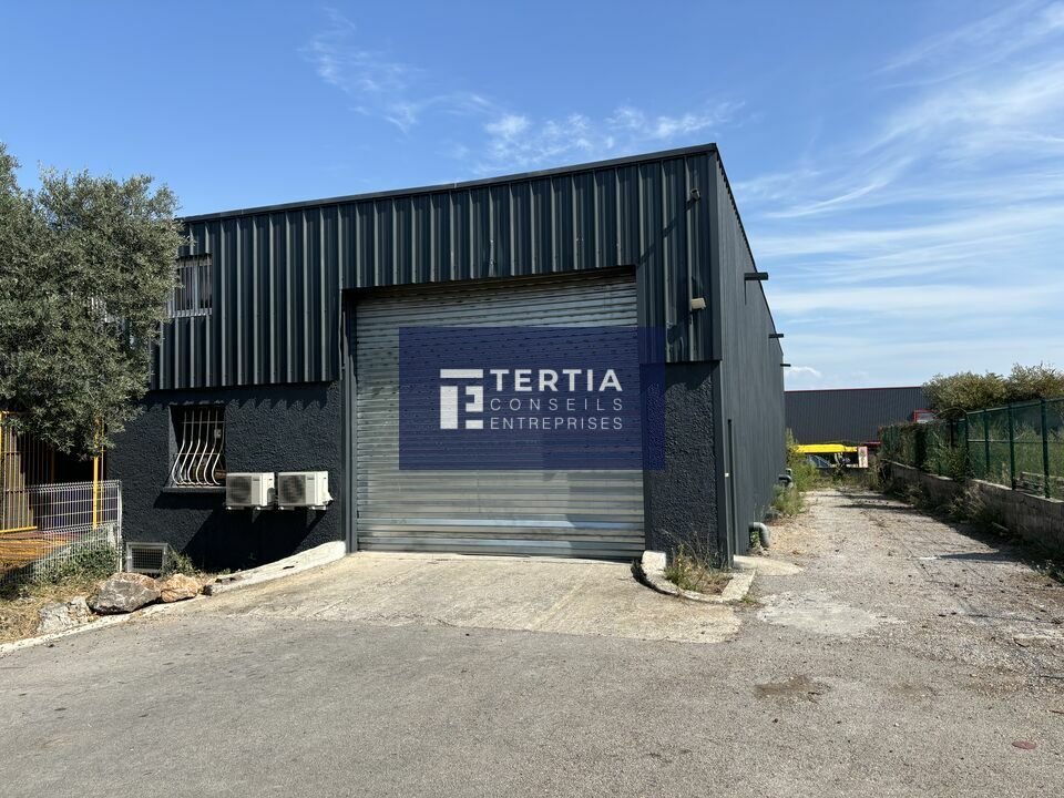 TERTIA CONSEILS LOCATION-LOCAL D'ACTIVITE-SAINT_JEAN_DE_VEDAS-34