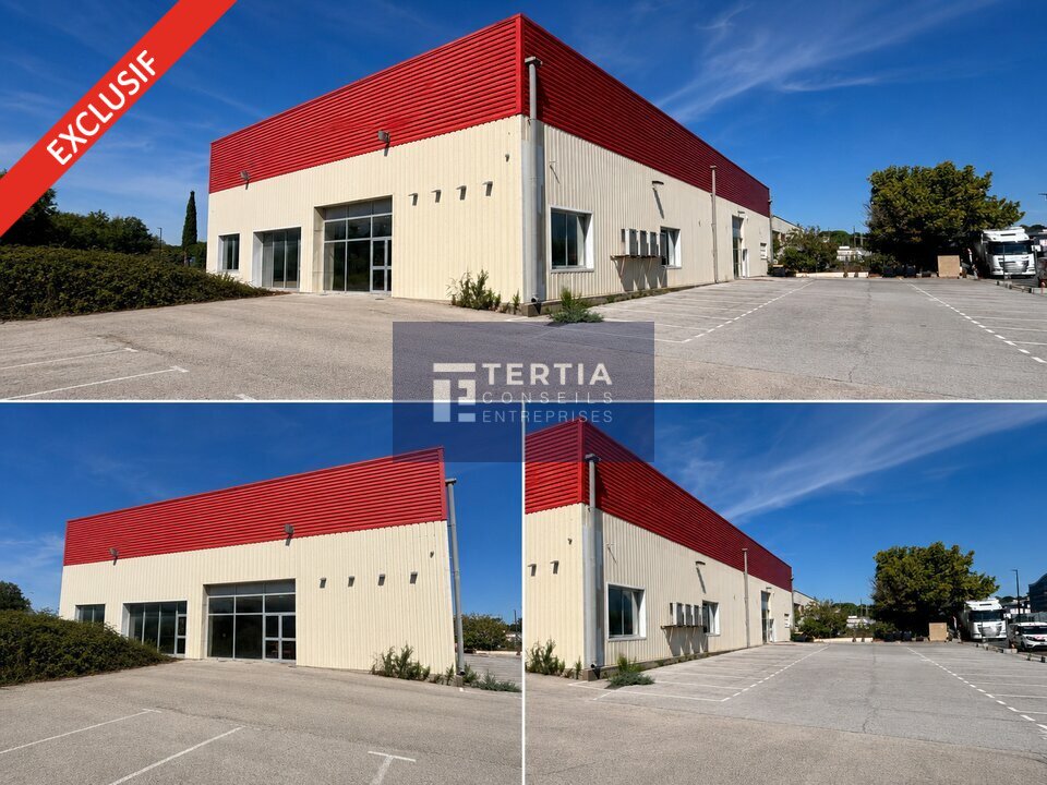 TERTIA CONSEILS LOCATION-LOCAL D'ACTIVITE-BAILLARGUES-34