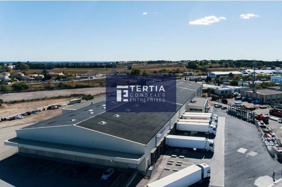 TERTIA CONSEILS LOCATION-ENTREPOT-MONTPELLIER-34
