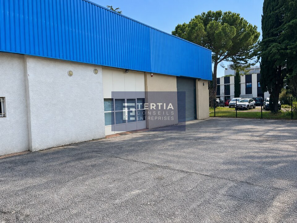 TERTIA CONSEILS LOCATION-LOCAL D'ACTIVITE-MONTPELLIER-34