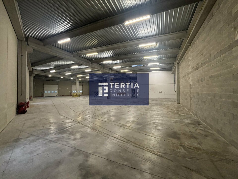 TERTIA CONSEILS LOCATION-LOCAL D'ACTIVITE-SAINT_JEAN_DE_VEDAS-34