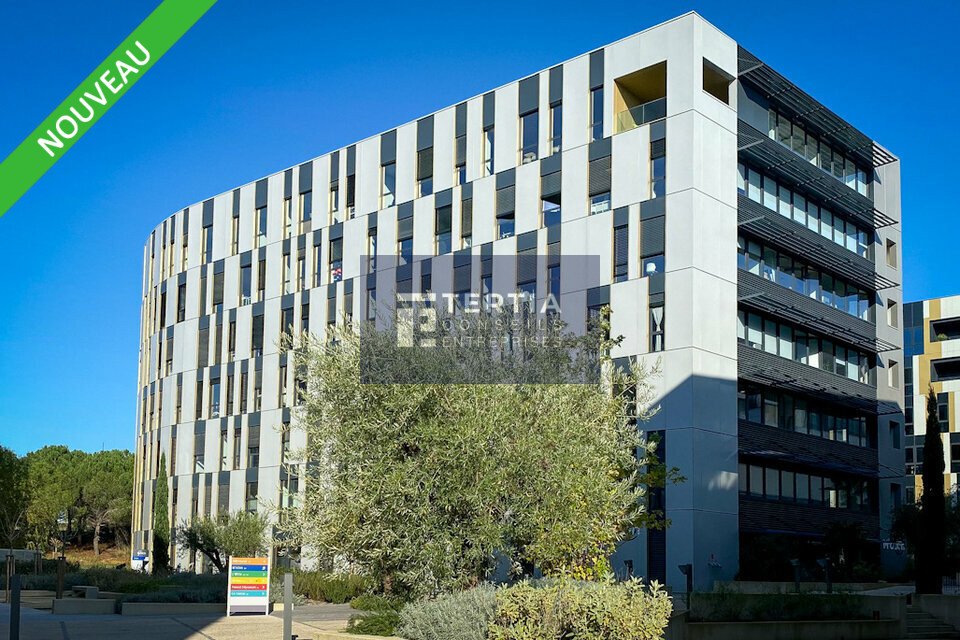 TERTIA CONSEILS LOCATION-BUREAUX-MONTPELLIER-34