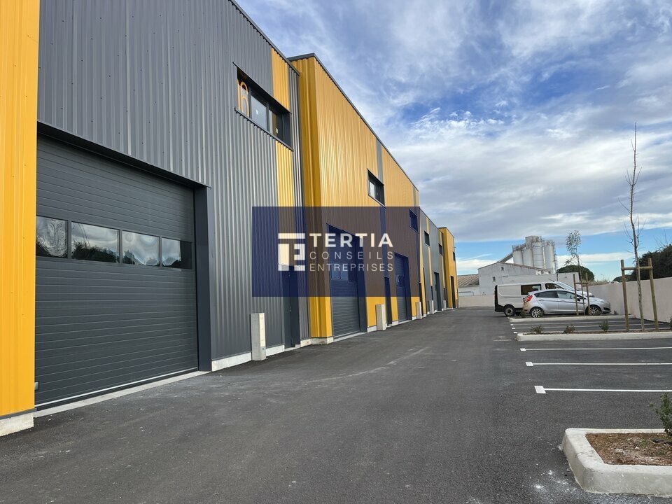 TERTIA CONSEILS VENTE-LOCAL D'ACTIVITE-LUNEL-34