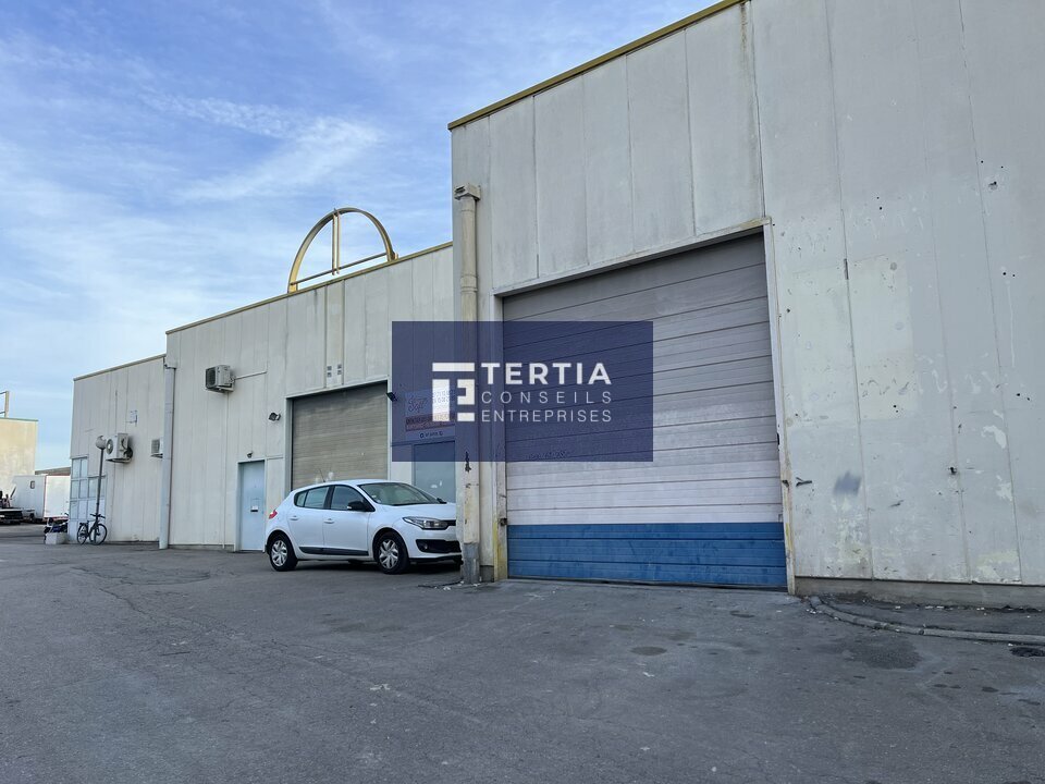 TERTIA CONSEILS LOCATION-LOCAL D'ACTIVITE-MONTPELLIER-34