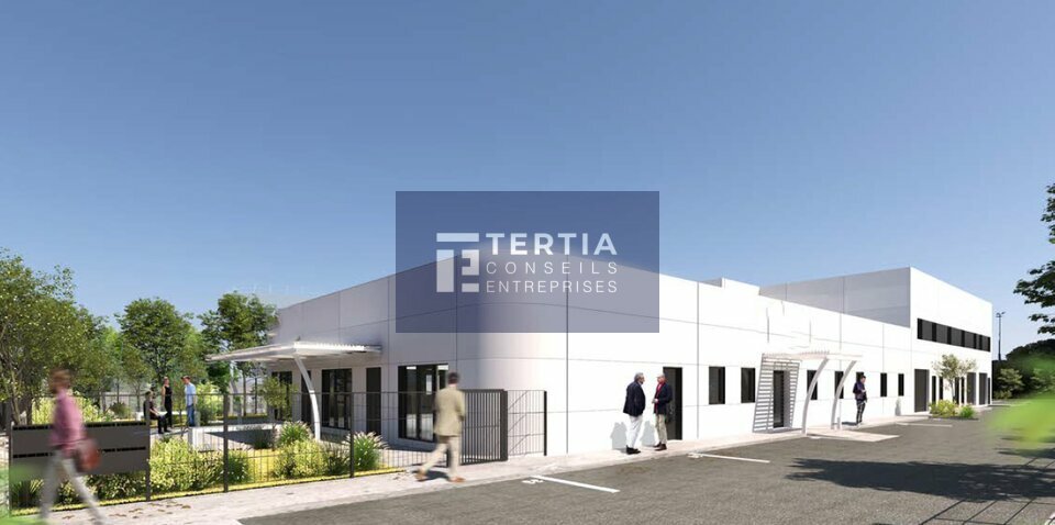TERTIA CONSEILS VENTE-LOCAL D'ACTIVITE-SETE-34