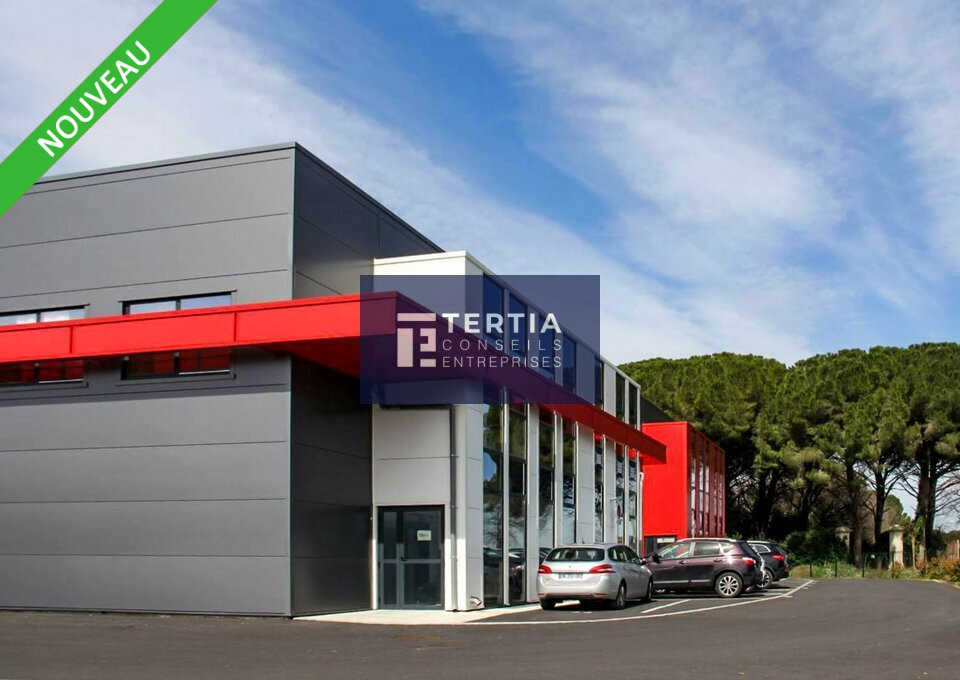 TERTIA CONSEILS LOCATION-LOCAL D'ACTIVITE-BAILLARGUES-34