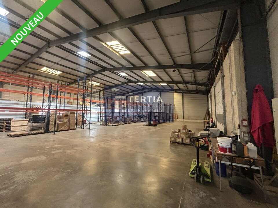TERTIA CONSEILS VENTE-LOCAL D'ACTIVITE-SAINT-MARTIN-DE-LONDRES-34