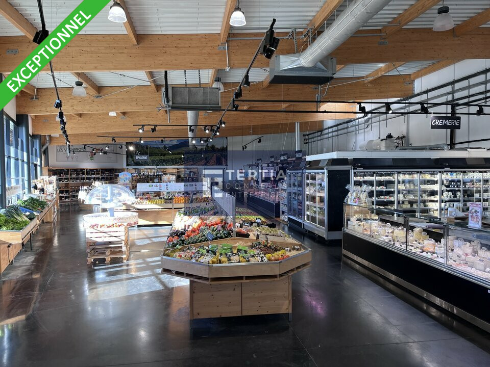 TERTIA CONSEILS LOCATION-LOCAL COMMERCIAL-LE_CRES-34