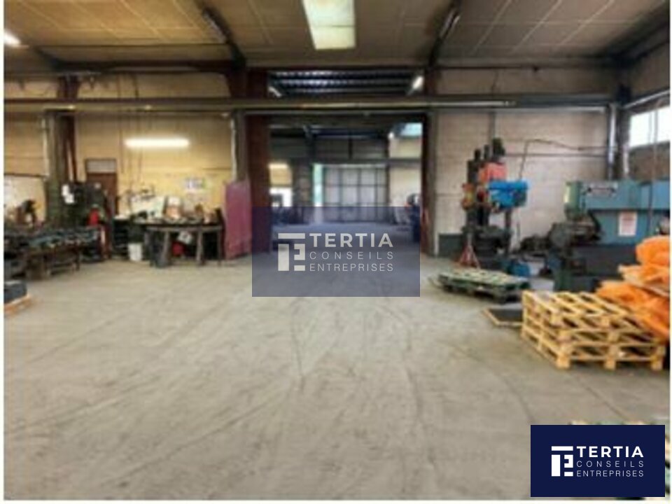 TERTIA CONSEILS LOCATION-LOCAL D'ACTIVITE-AVIGNON-84