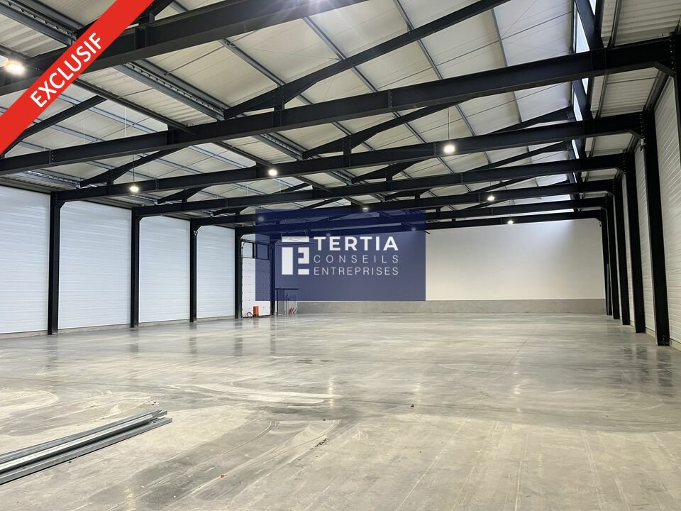 TERTIA CONSEILS LOCATION-LOCAL D'ACTIVITE-VAILHAUQUES-34