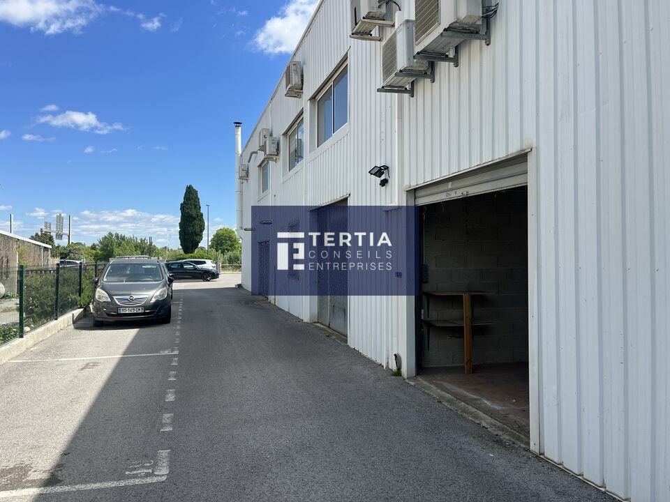 TERTIA CONSEILS LOCATION-LOCAL D'ACTIVITE-MAUGUIO-34