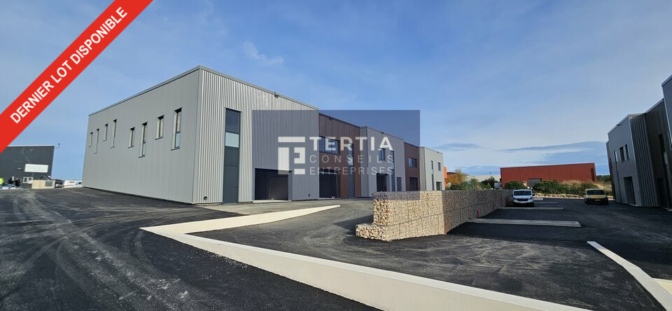 TERTIA CONSEILS VENTE-LOCAL D'ACTIVITE-VAILHAUQUES-34