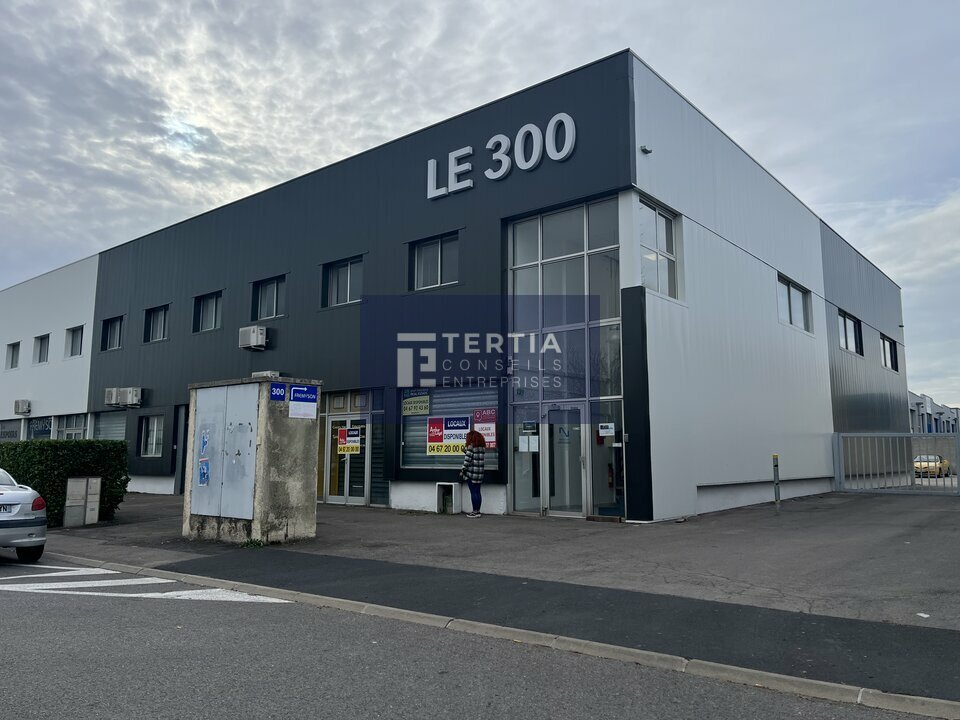 TERTIA CONSEILS LOCATION-BUREAUX-MAUGUIO-34