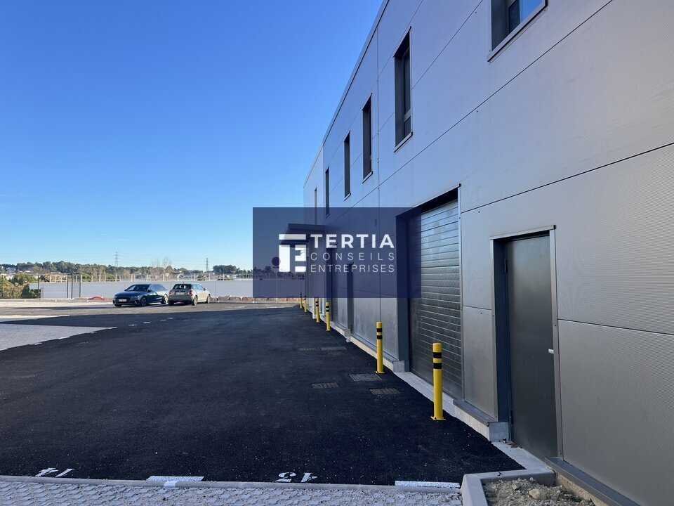 TERTIA CONSEILS LOCATION-LOCAL D'ACTIVITE-GRABELS-34