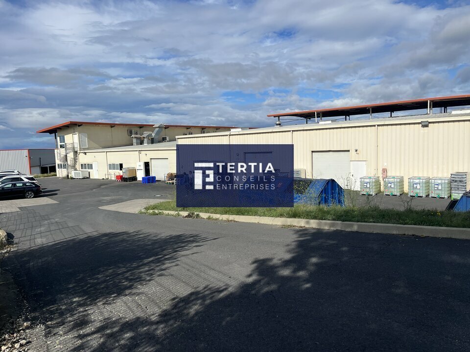 TERTIA CONSEILS LOCATION-LOCAL D'ACTIVITE-SETE-34