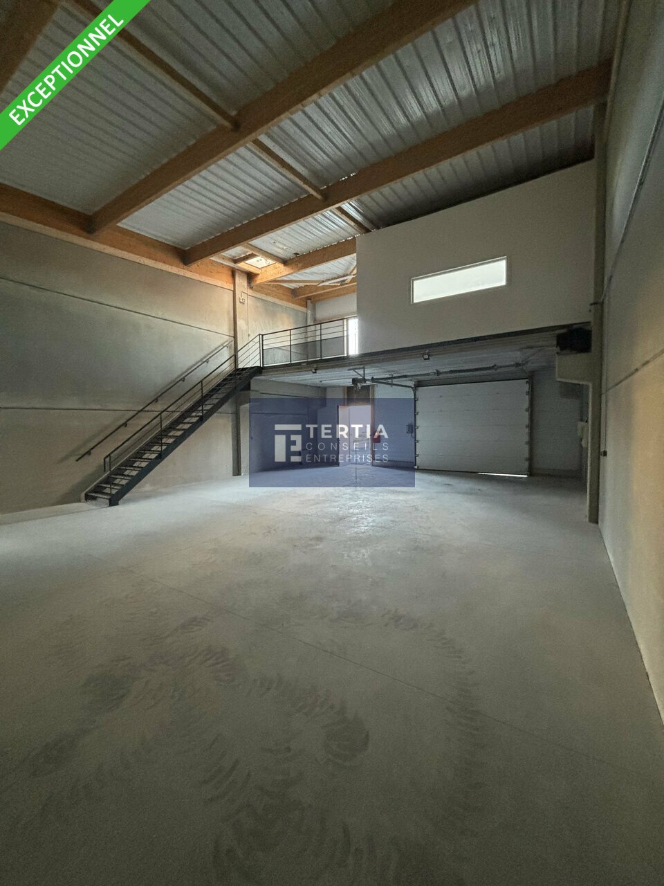 TERTIA CONSEILS LOCATION-LOCAL D'ACTIVITE-VAILHAUQUES-34