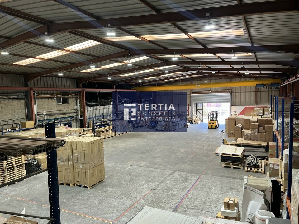 TERTIA CONSEILS LOCATION-LOCAL D'ACTIVITE-MONTPELLIER-34
