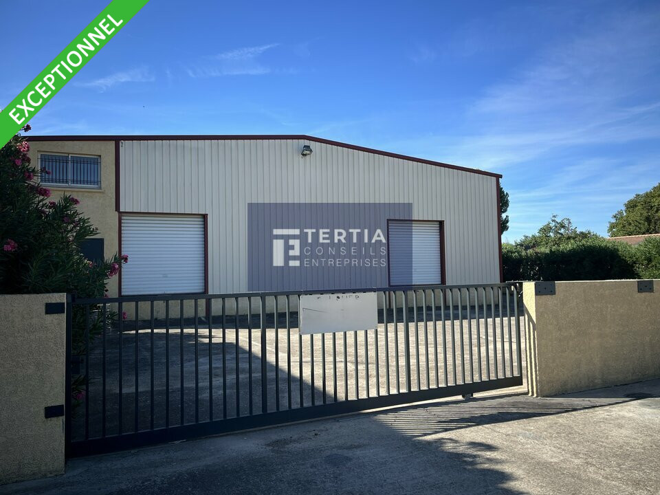 TERTIA CONSEILS LOCATION-LOCAL D'ACTIVITE-GIGEAN-34