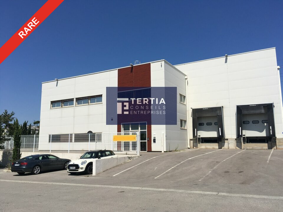 TERTIA CONSEILS LOCATION-LOCAL D'ACTIVITE-SETE-34