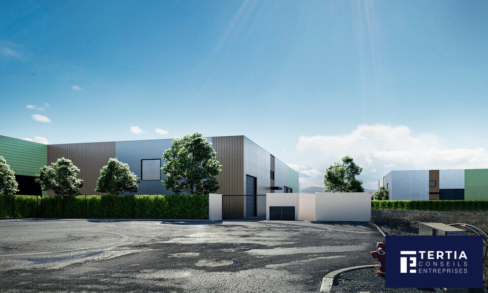 TERTIA CONSEILS LOCATION-LOCAL D'ACTIVITE-BESSAN-34